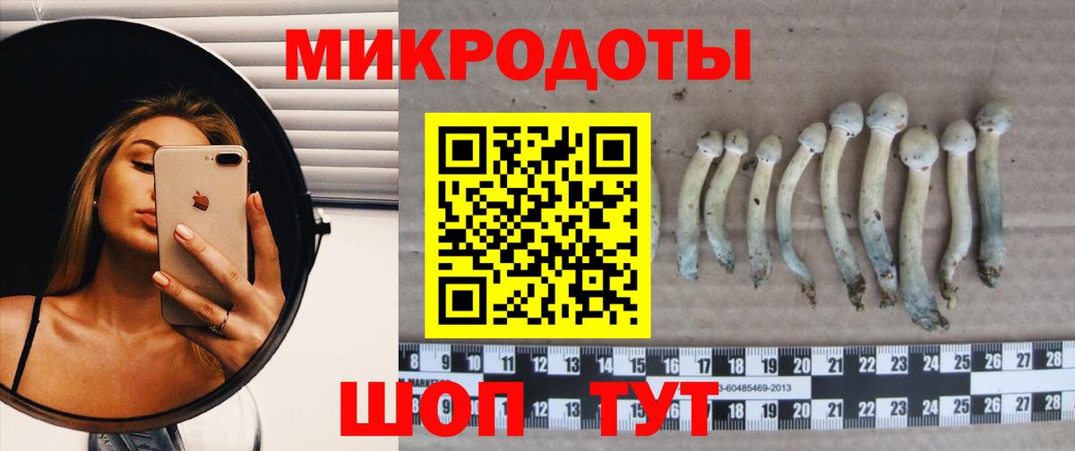 Гусь-Хрустальный  Галлюциногенные грибы мицелий  Псилоцибиновые грибы прущие грибы  купить   Вход с VPN 
